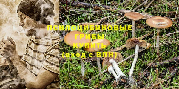 гидра Абдулино